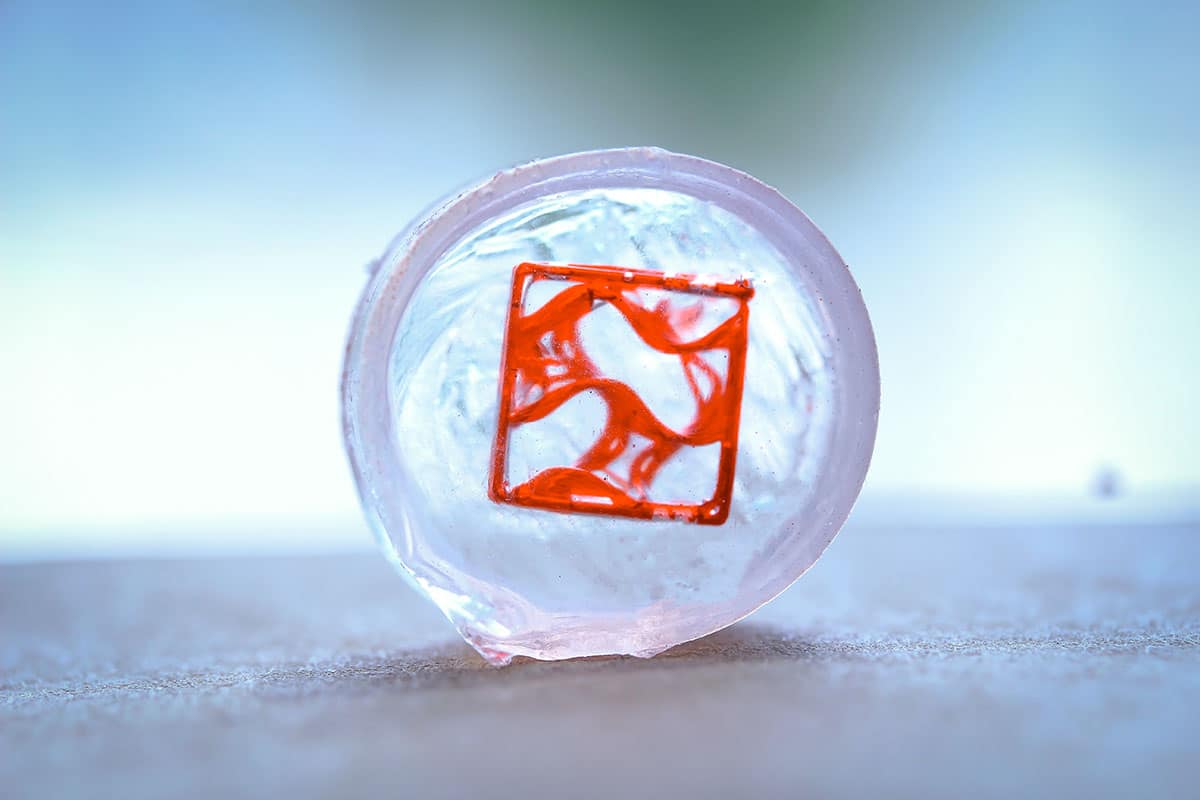 bioprinted structure