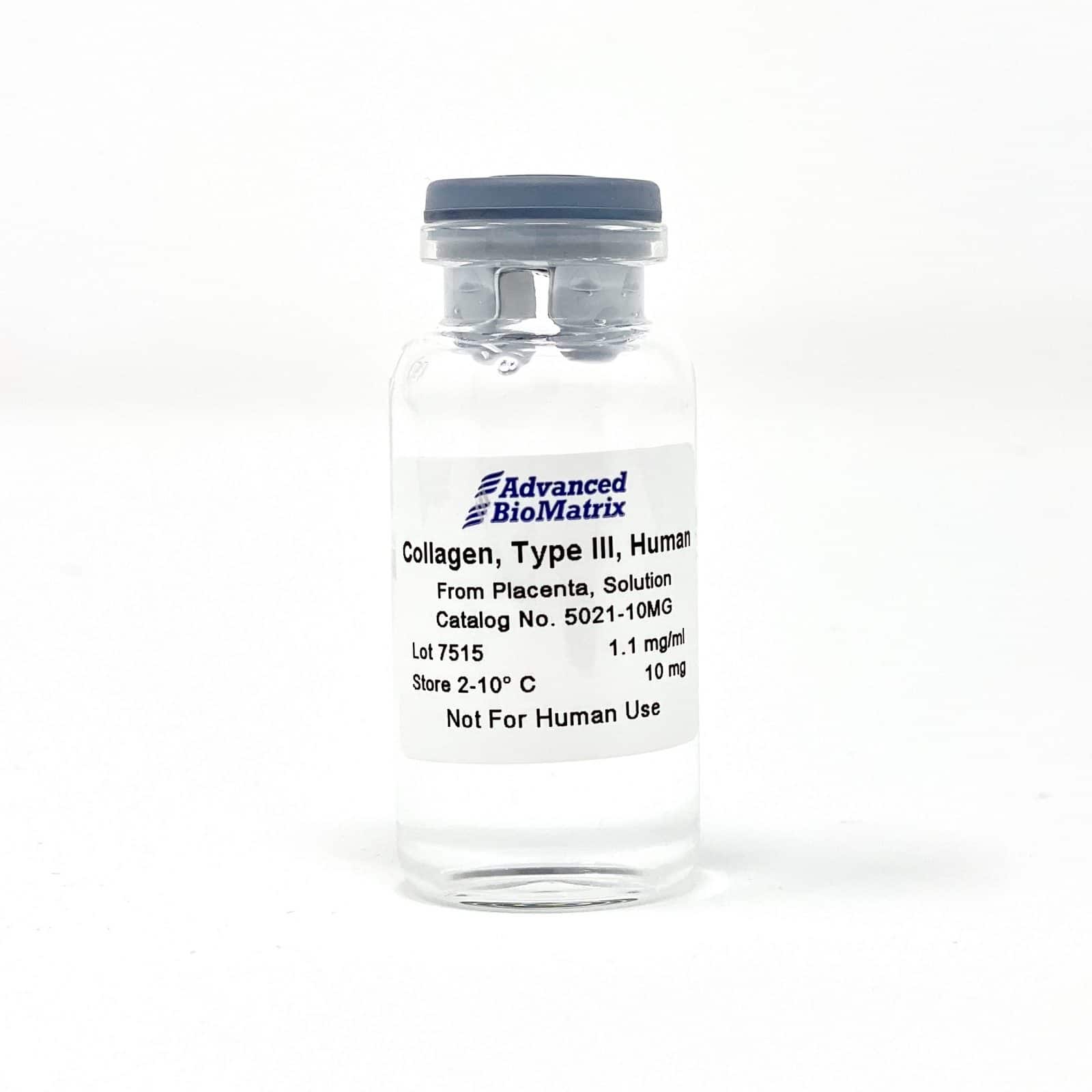 type 3 collagen seen in