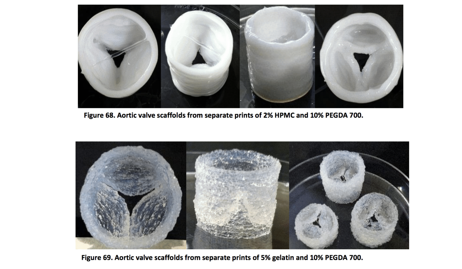 Allevi bioprinter bioprint aortic and cardiac scaffolds