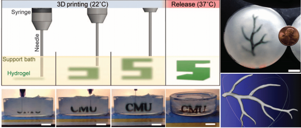 The FRESH bioprinting process