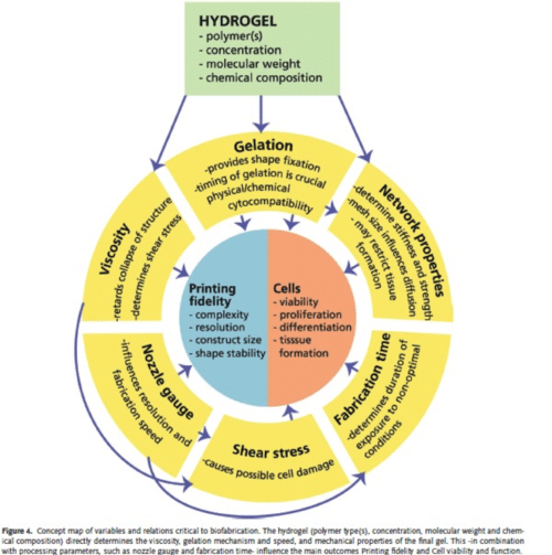 How to choose a bioink hydrogel