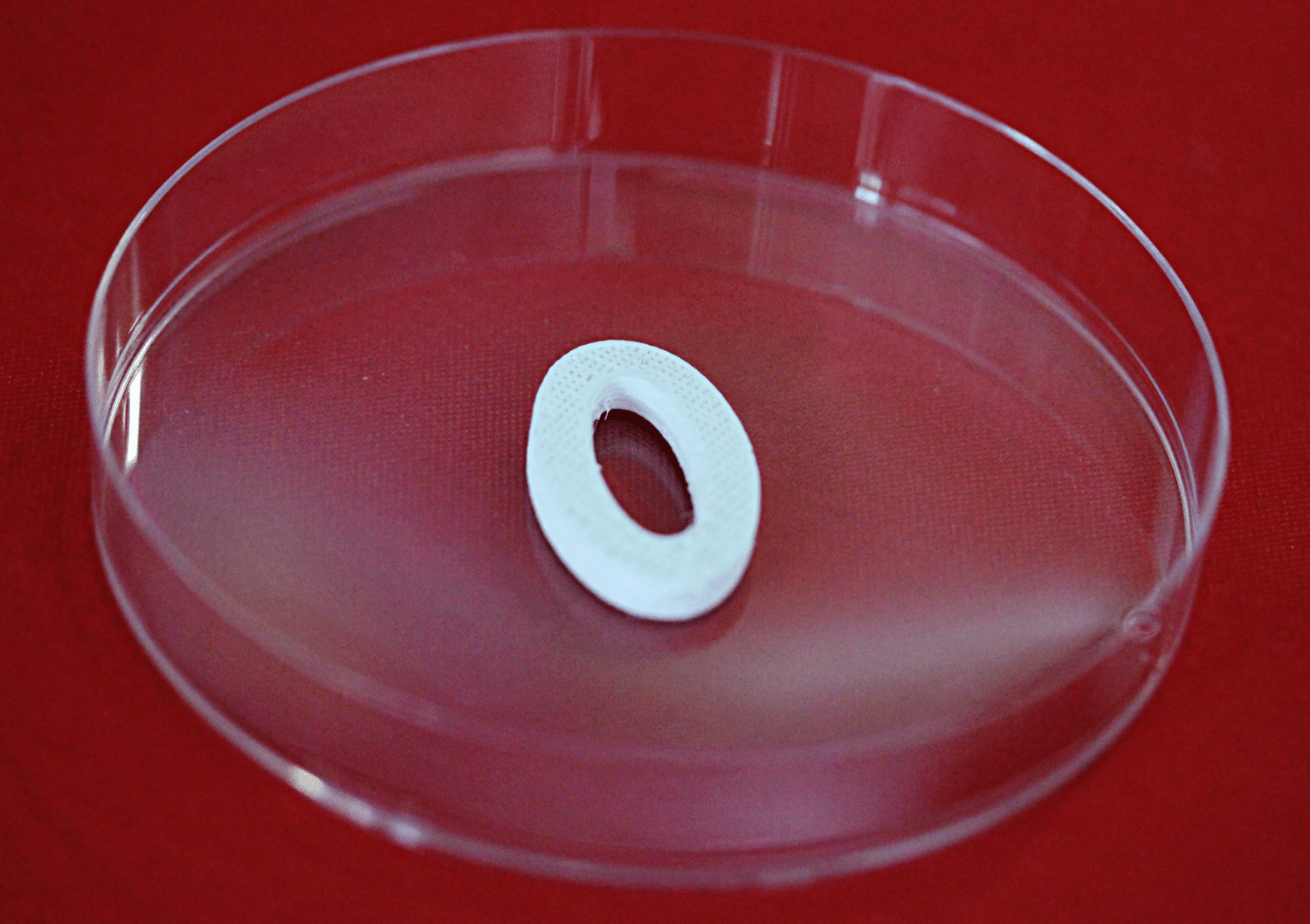 hyperelastic bone bioink cross-section of 3d bioprinted bone using Allevi bioprinter