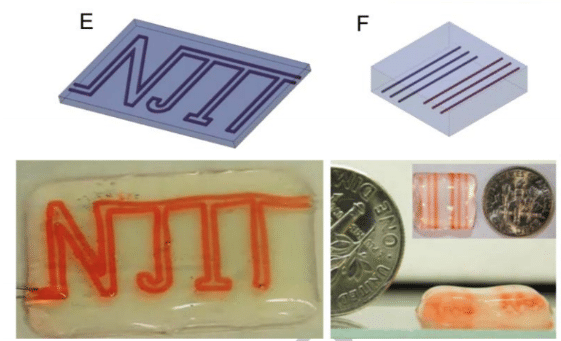 NJIT allevi guvendiren vascular vasculature vein 3d bioprint bioprinted bioprinter