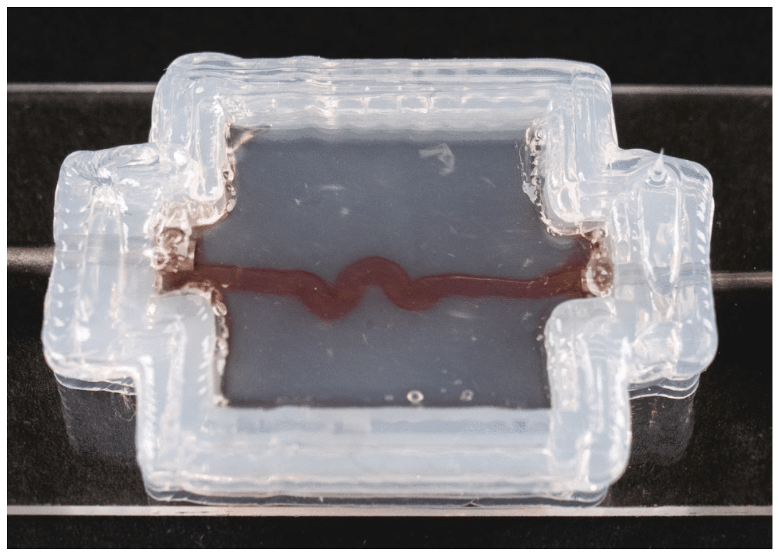 Bioprinting Vascularized Soft Tissue