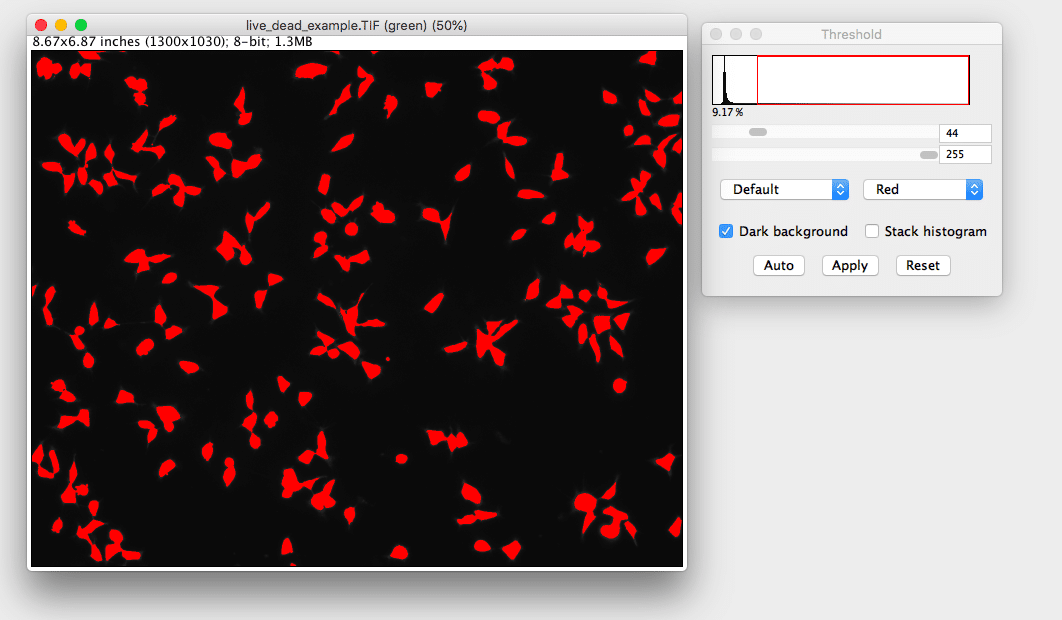 Live/Dead assay quantification using Fiji