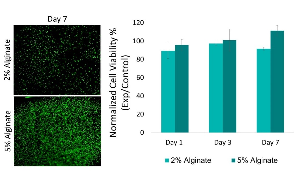 3d bioprinted culture viability analysis