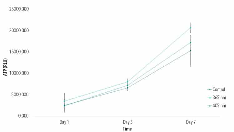 Figure 1:  Cells exposed to 365 nm and 405 2D controls. ATP data indicates viability improves from Day 1 to Day 7 for all groups. No statistical difference found among groups at each time point (p<0.05).