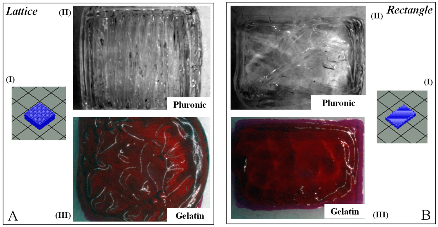 lattices vs sheet cardiac tissue 3d bioprinting allevi