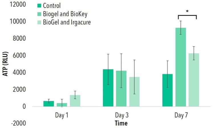 Figure 4: Cell seeding on BioGel (GelMA) crosslinked with BioKey (LAP) and Irgacure photoinitiators. Groups with differing (*) indicate statistical differences (p<0.05).