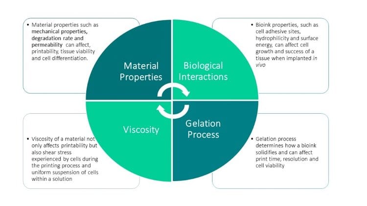 matrix bioink properties