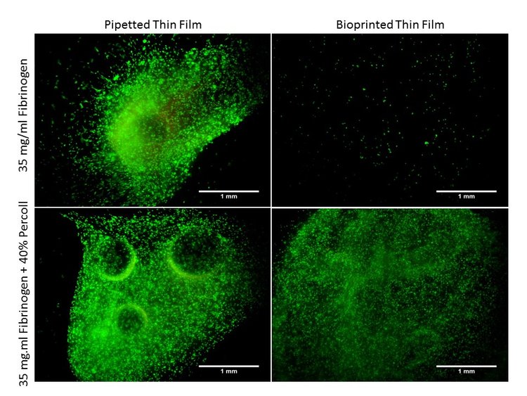 pipetted vs bioprinted percoll live/dead images