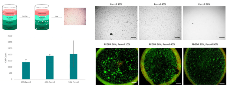 percoll pegda bioprinting