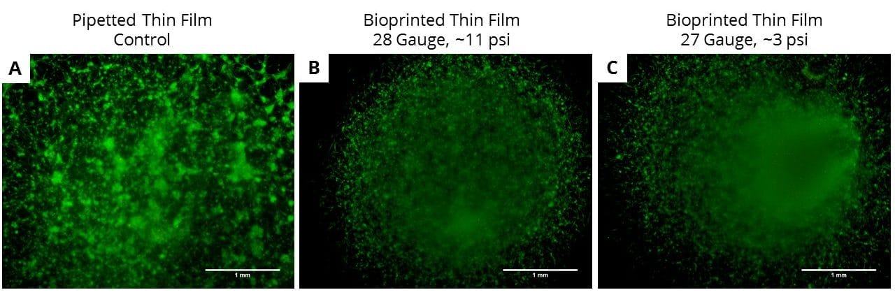 troubleshooting 3d bioprinting viability