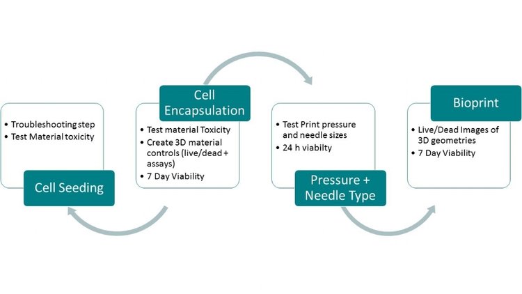 how to optimize viability with a new bioink