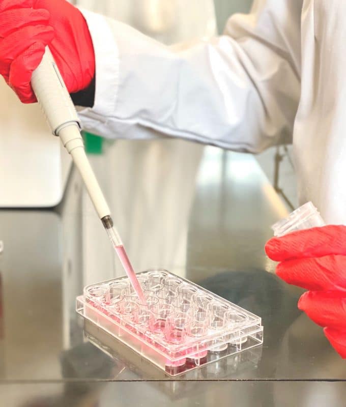 Coating Plates with PureCol® | Protocol - Allevi