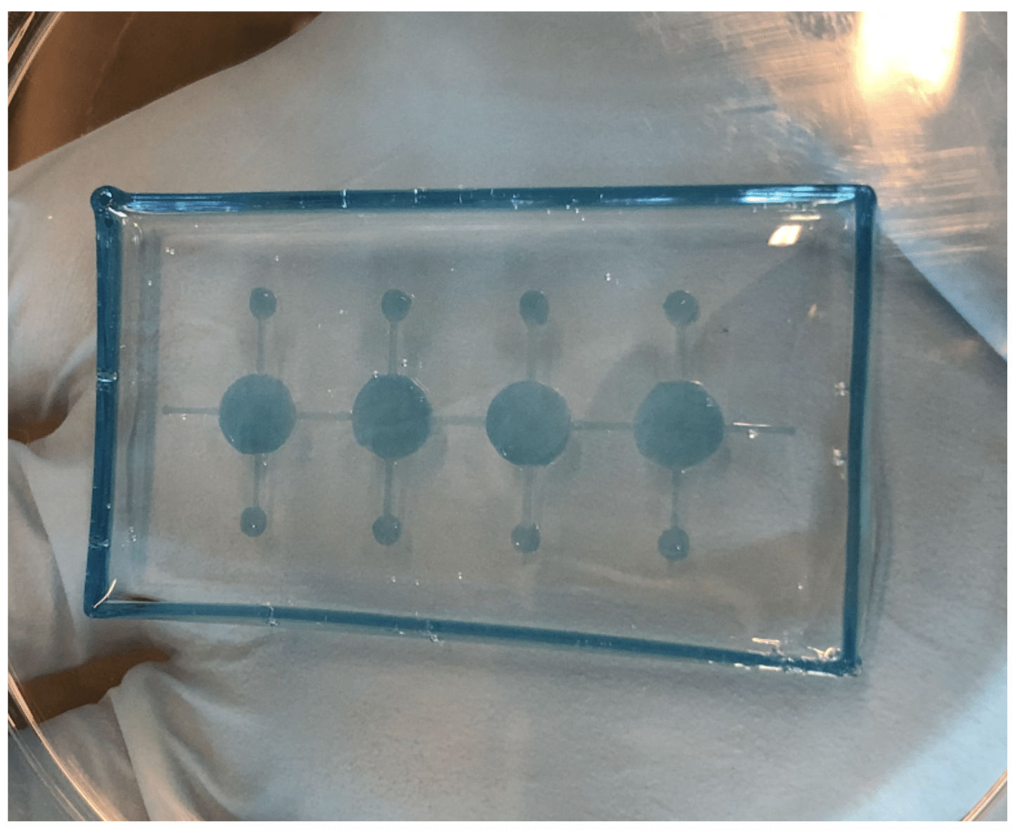 Organ-on-a-chip Bioprinting Using Carbohydrate Glass