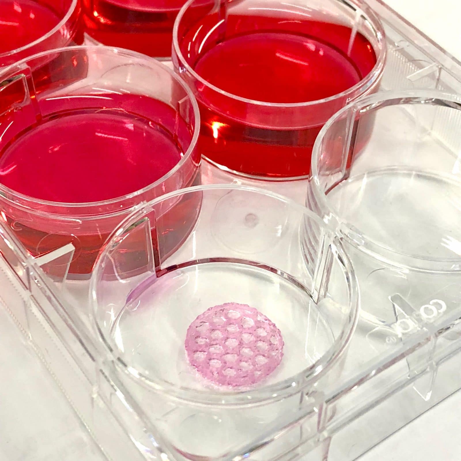 bioprinting GelMA gelatin methacrylate