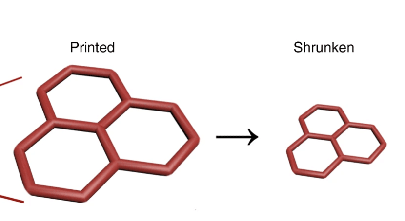 bioprinting  shrinking