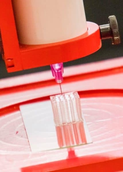 extrusion bioprinting