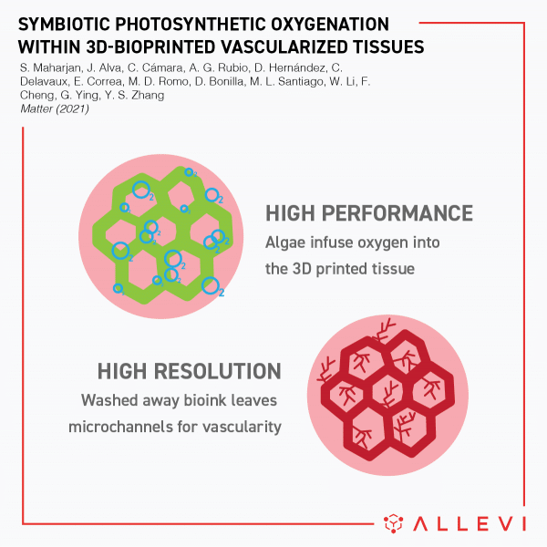 Symbiotic-Photosynthetic-Oxygenation-within-3D-Bioprinted-Vascularized-Tissues-allevi-author